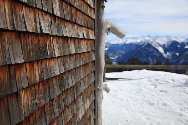Cedar Siding Repair in Schaumburg