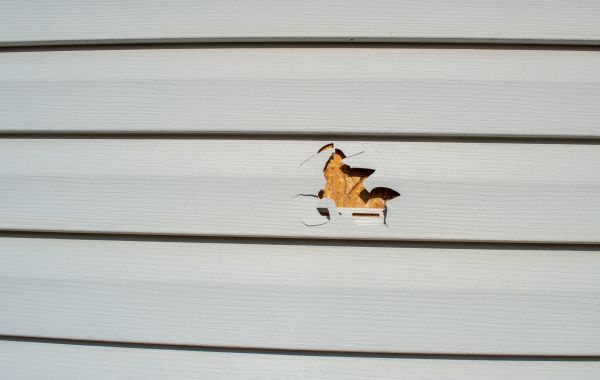 Siding Hole Patching in Schaumburg