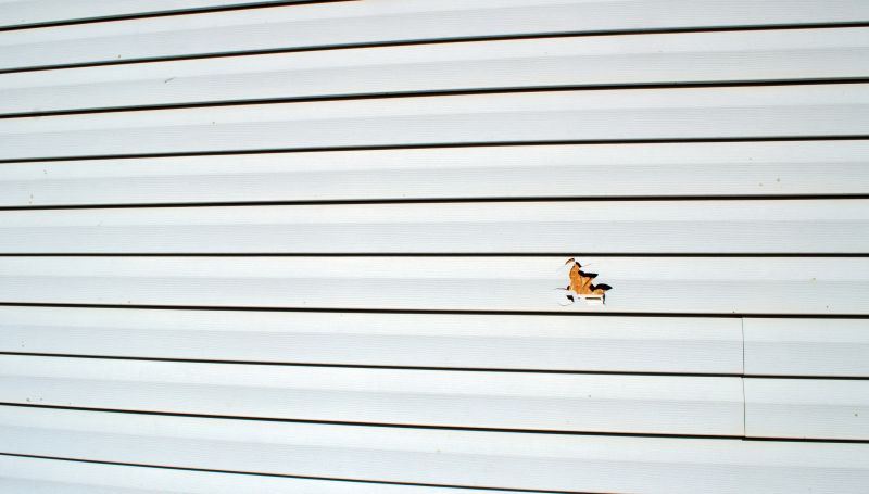 Vinyl Siding Repair Professional